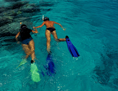 Snorkeling and Beach Adventure