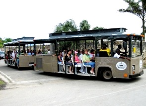 Falmouth Sightseeing by Trolley