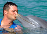 Dolphin Encounter Swim and Dunns River Falls