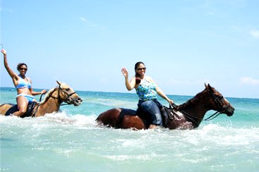 Beach Horseback Ride and Dunns River Falls