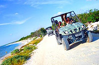 4x4 Rhino & Punta Sur Snorkel