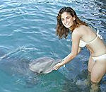 Dolphin Touch and Dunns River Falls