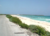 Dune Buggy & Beach Snorkel