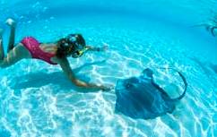 All-Inclusive Dolphin Beach Break