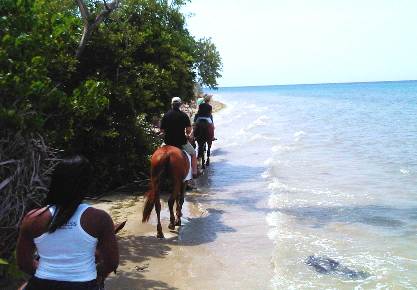 Beach Heritage Horseback Ride