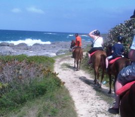 River Tubing and Beach Horseback Ride