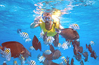 Segway & Snorkel Adventure