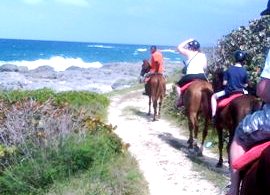 Beach Horseback Ride and Falls
