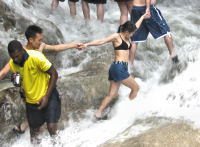 Dolphin Touch and Dunns River Falls