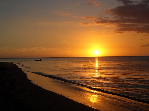 tours in ocho rios