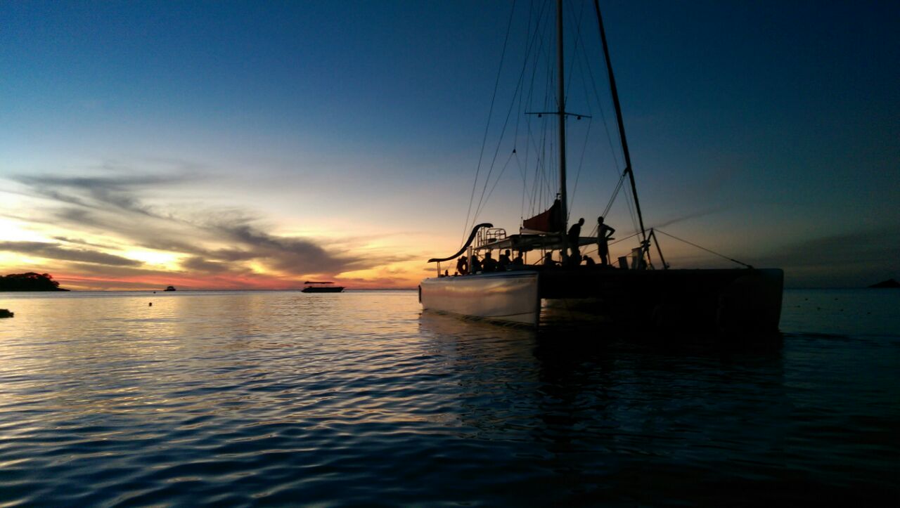 sunset catamaran cruise jamaica