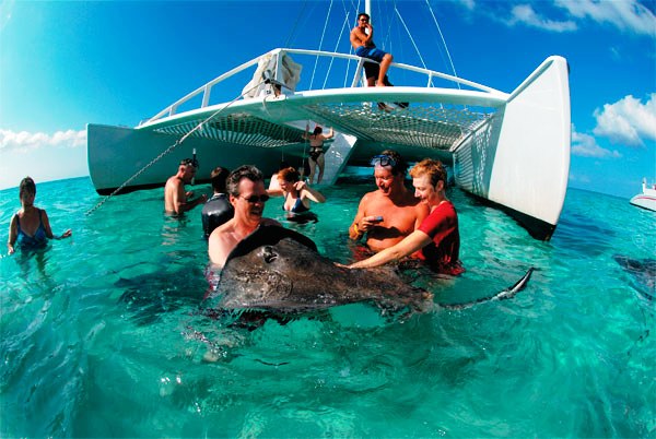 catamaran sail stingray city