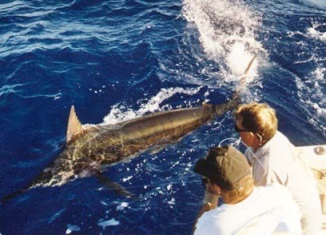 boat tours in ocho rios jamaica