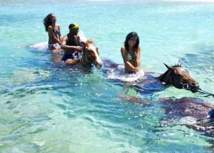 tour companies in montego bay jamaica